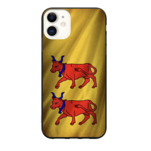 Coque drapeau Béarn