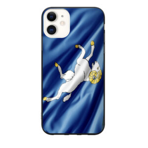 Coque 2 drapeau Cornouaille
