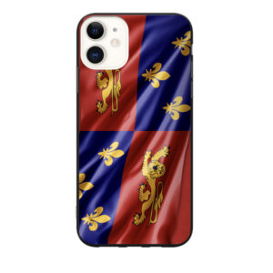 Coque drapeau des Landes