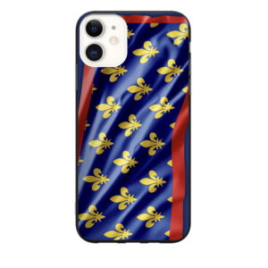 Coque 2 drapeau du Maine