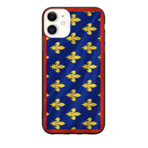 Coque drapeau du Maine