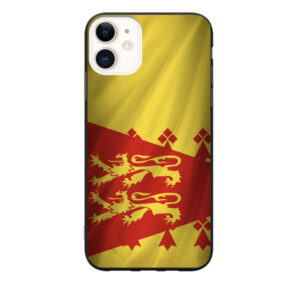 Coque 2 drapeau du Poher